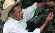 fair trade food trend costa rica