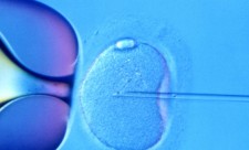 Costa Rica in-vitro fertilization law