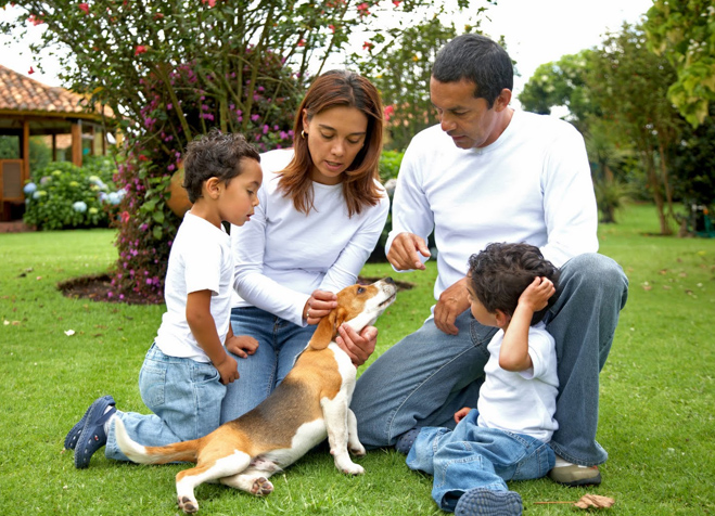 family with dog costa rica