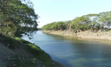 Tempisque River Costa Rica