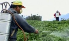 Costa Rica Pesticides