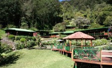 Trogon Lodge, San Gerardo de Dota