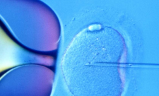 In-Vitro Fertilization Costa Rica