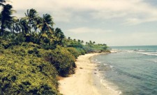 Guanacaste Protected Areas Schedule