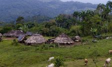 Costa Rica Eco Study Tour