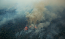 Brazil Forest Fires