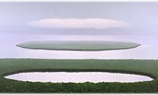 Cuban Artist Tomas Sanchez - Relacion