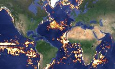 Global Fishing Watch