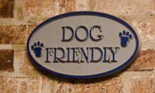 Dog Parks Costa Rica