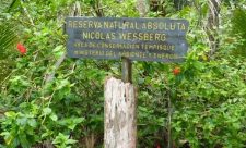 Nicolas Wessberg Costa Rica National Parks