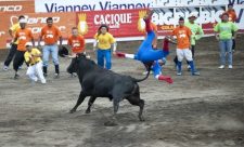 Bullfighting Costa Rica Style
