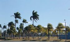 Wind Costa Rica