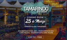Tamarindo Costa RIca things to do