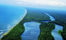 Tortuguero, Limon, Costa Rica