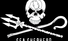 Costa Rica Sea Shepherd