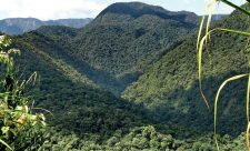 Braulio Carrillo National Park