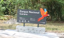 Costa Rica One Day Tour Carara National Park