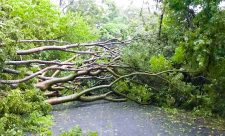 National Parks Costa Rica Closed