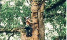 Airbnb Experiences Costa Rica
