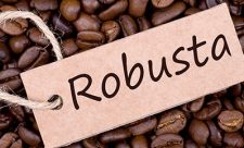 Robusta Coffee Costa RIca