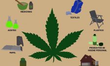 Costa Rica Cannabis