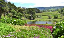 Poas Region Costa Rica