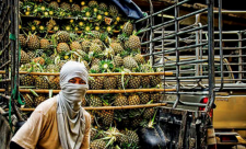 cocaine, pineapples, drug shipments, Costa Rica