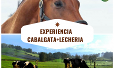 Zarcero Costa Rica Day Trip