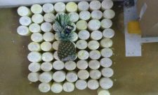 Costa Rica Pineapples Drugs
