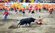 bullfights costa rica