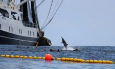 Costa Rica Tuna Fishing